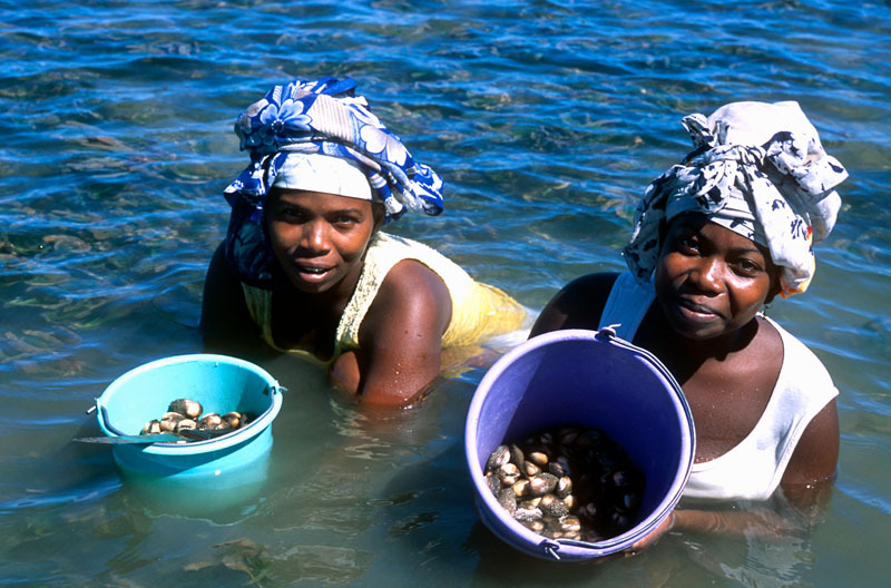Sea harvest, Nosy Bé Island, Madagascar  ©Hartmut Jungius/WWF-Canon