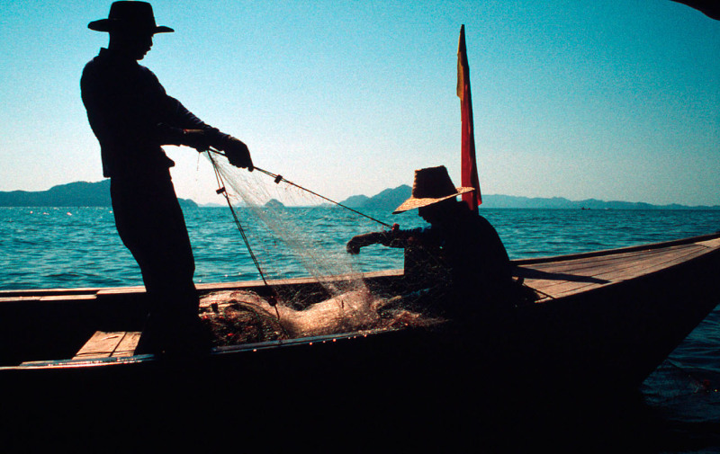 Fishermen pulling nets Phang Nga Bay Thailand  © Peter Denton / WWF-Canon